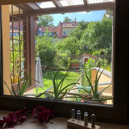 Ferienwohnung an der grünen Clara Erfurt Exterior foto